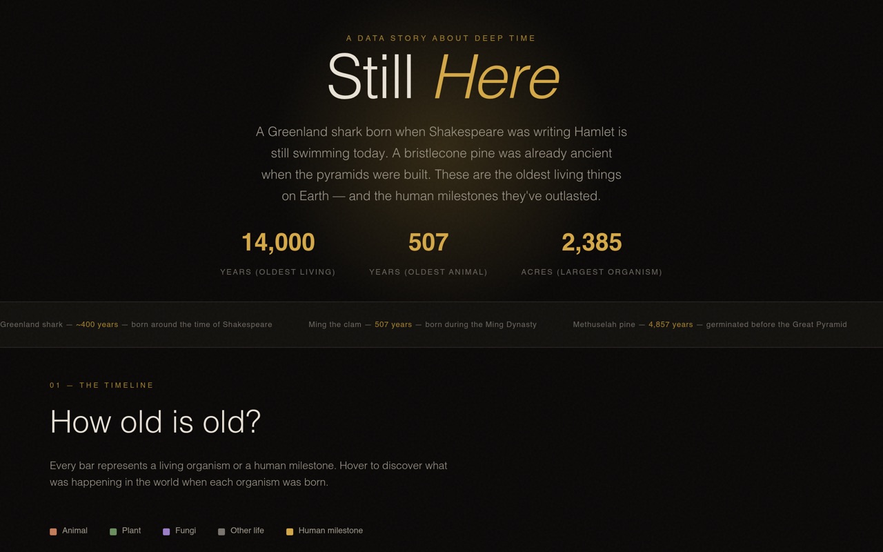 Still here