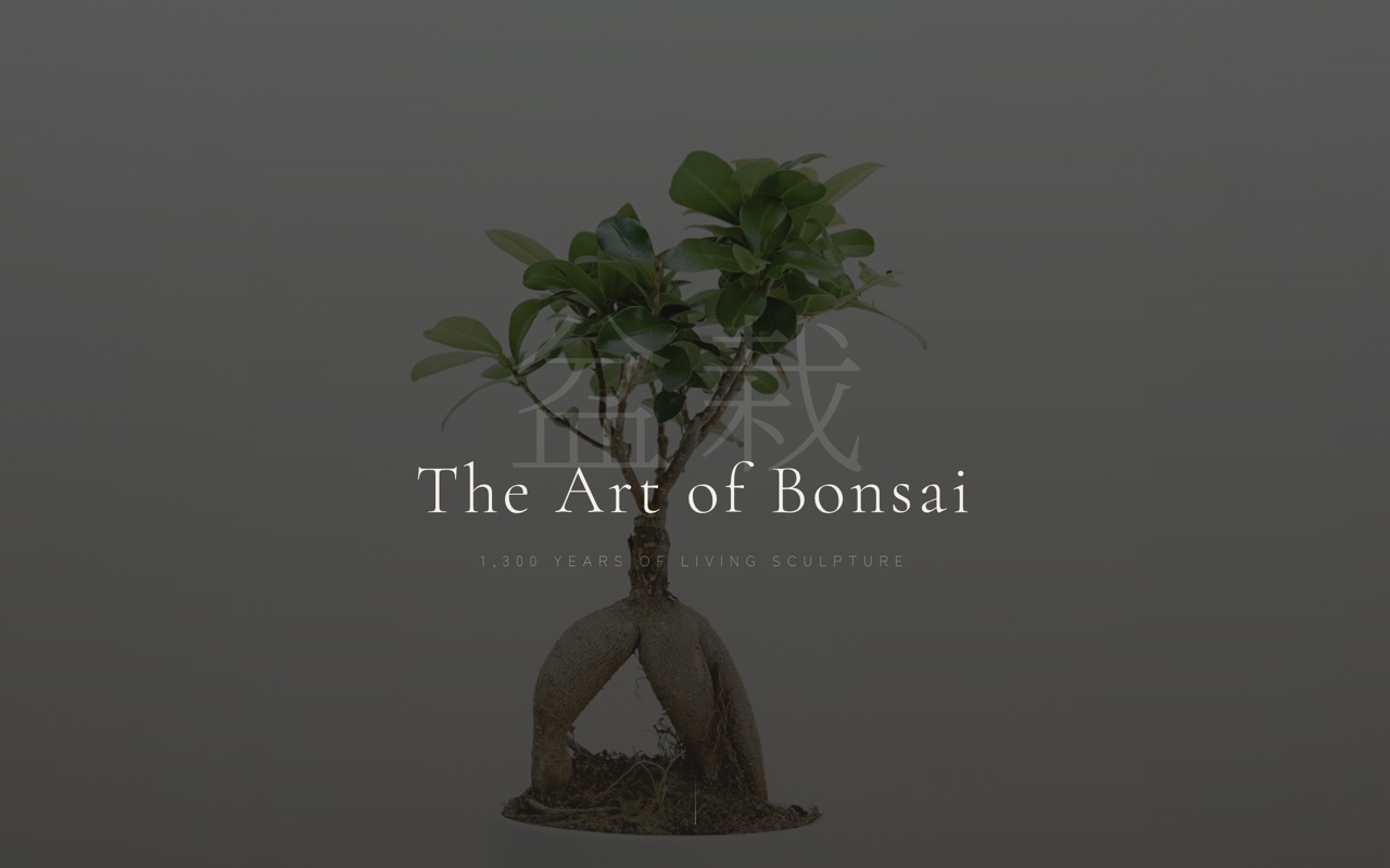 the art of bonsai