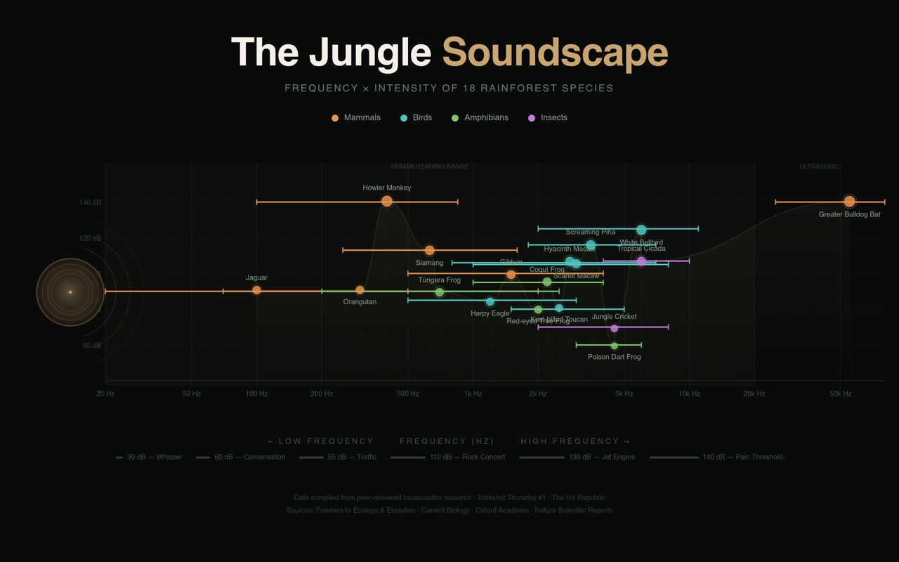 The Jungle Soundscape — Animals of the Jungle, Quantified