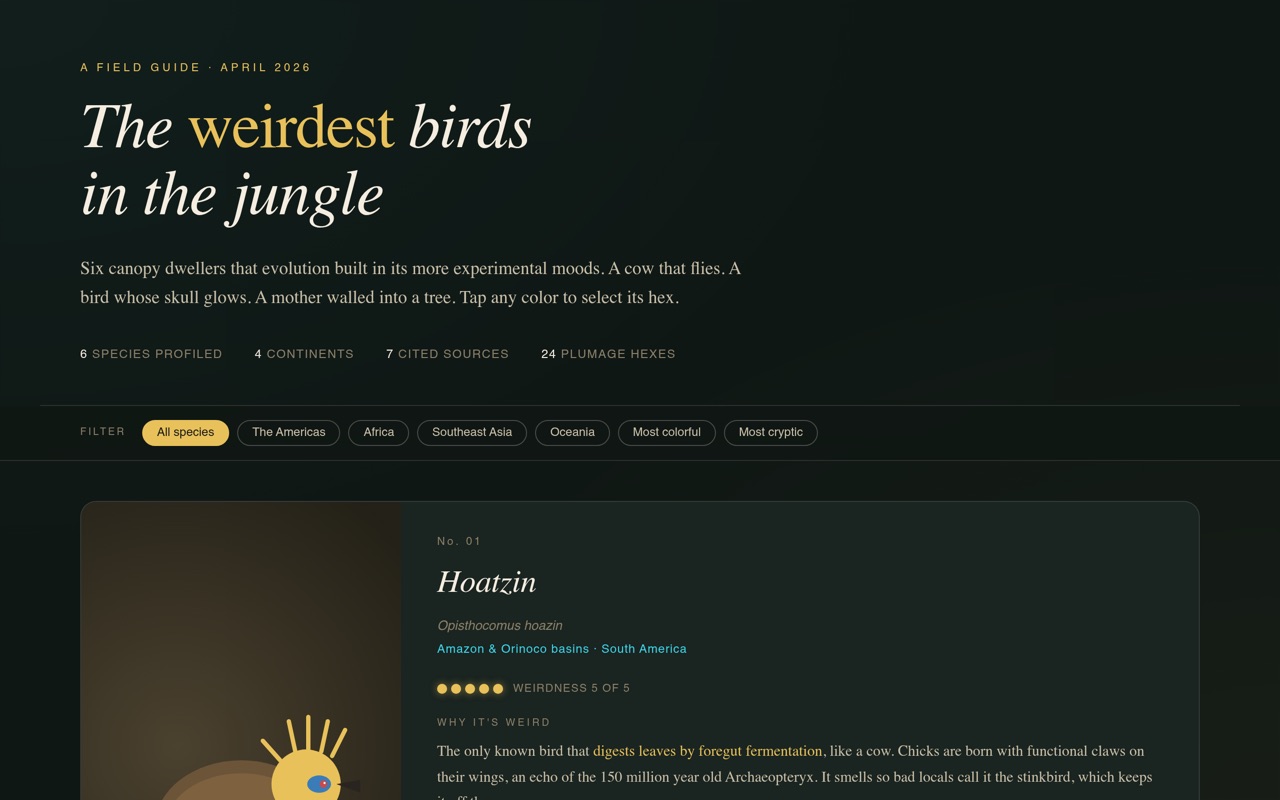The Weirdest Birds in the Jungle — A Field Guide